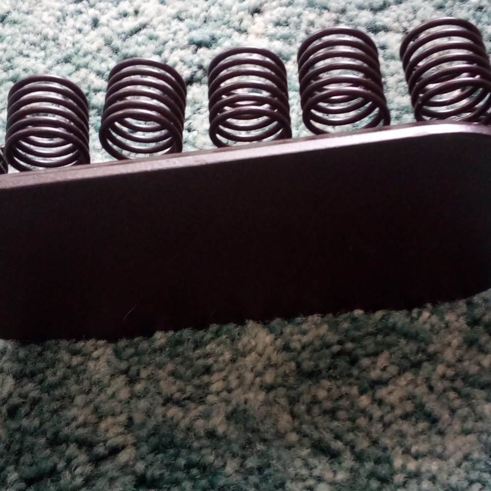 Frogs - Picture 3 of 4